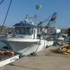djamel.gd30.30.wa