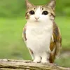 kiruha_krutoy777