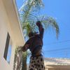 zoe067636