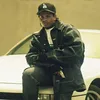 knoccout.7