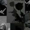 alanna4564