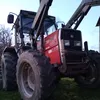 teo_agri436