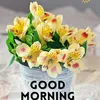 abdulkhaliq6353