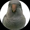 plechovkask3