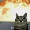 zeasoftiksis