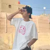 h_vsw