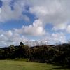 rikki.kettlewell