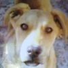 jos.flores7285