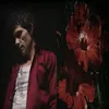 yp.rg