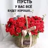 elena.mykhaylova
