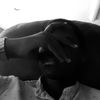 dfw.mkn