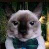 licenciado_ramirez__