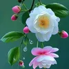 ni.kh.trong.oi
