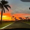 Luz e Palavras
