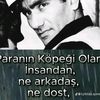 serhaxzkor0