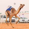 alqahtanii02