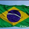brasp_pe