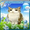 hellokitty.0911