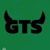fw_gts