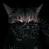 luis_stiker