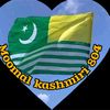 moomalkashmiri804