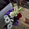zaa_0687