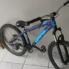 051_gordin