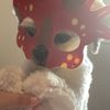 memydogandrandom