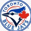 night.blue.jay