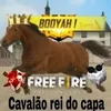 capivaro55