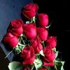 mdshain.mondol
