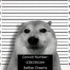 dorian_113