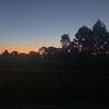 skilly_lilly0