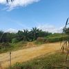 vivoy03t705