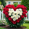 lambe.turah669