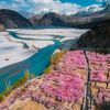 manahil.ansari21