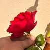 abdullah.all.mamu4612