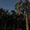 ghina.alrajhi1