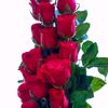 user5106010190733