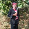 addur499