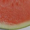 melon_mask8