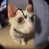 kimxamfmllenchim098