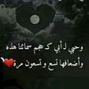 user40240453235838