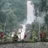 joko.tono77