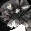 defoo_n0ta1exx