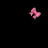 __17.za