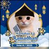 ppkucingramadhan837