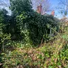 theabandonedbungalow