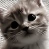 cat.love679