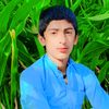 iaser_